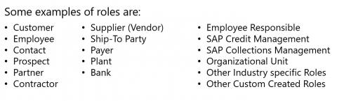 Example of Business Partner Roles